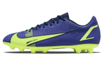 Кроссовки Nike Mercurial Vapor 14 14 Hg