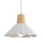Подвесной светильник Lumion SUSPENTIONI 8352/1A