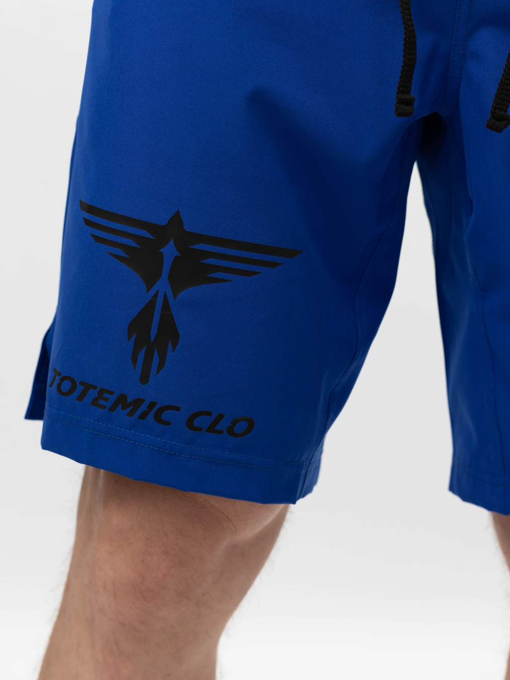 Шорты TOTEMIC CLO Dry Touch василек