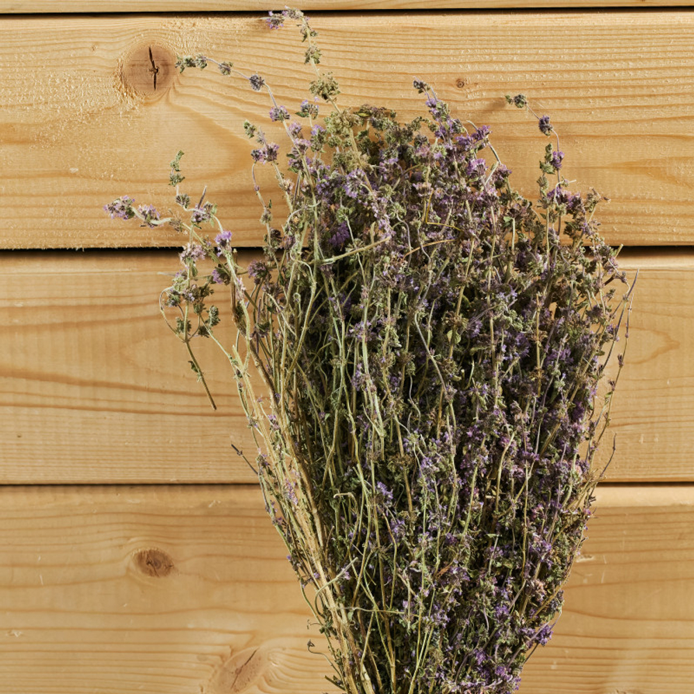 Мята горная, букет_3.jpg