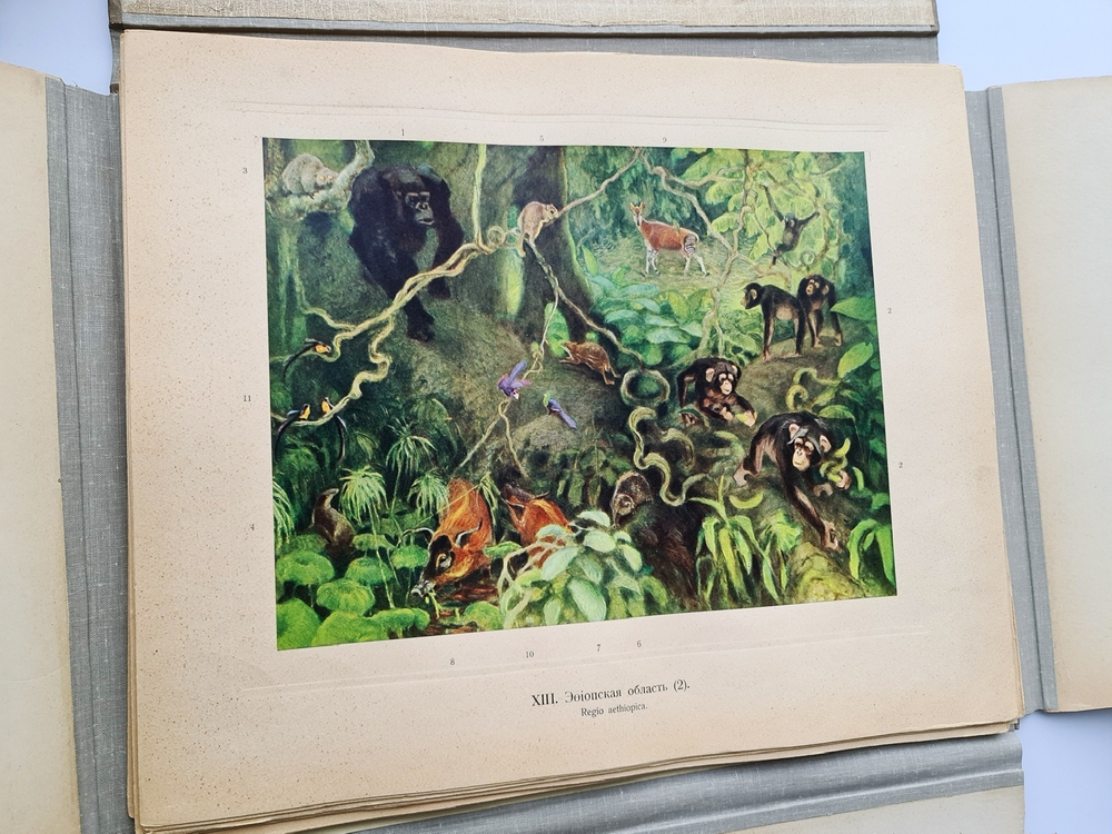 "Зоогеографический атлас". М.А. Мензбир. 1912 г. - редкая книга