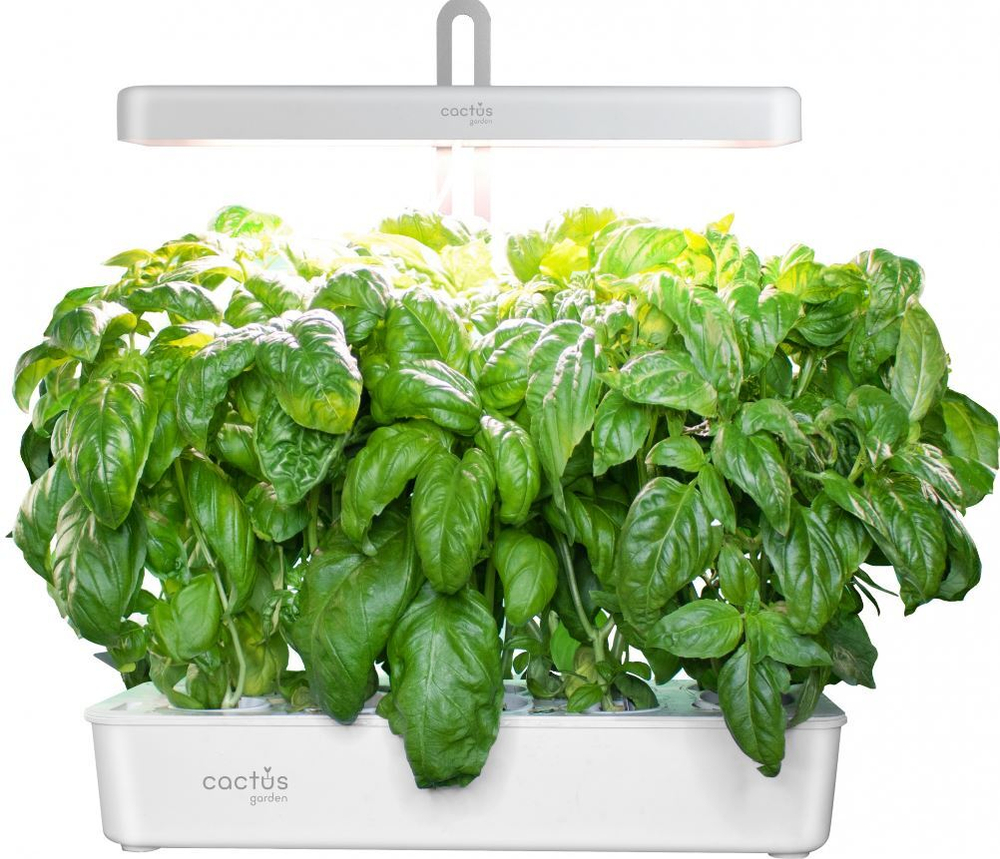 Гидропонная установка  Cactus CS-LEDPOT-10
