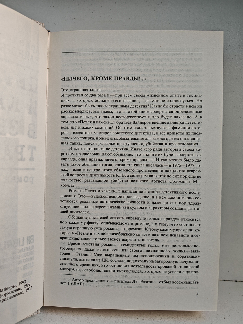 Петля и камень в зелёной траве