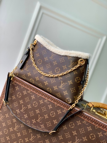 Louis Vuitton CarryAll BB