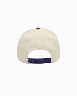 Кепка Obey Ranch 5 Panel Snapback