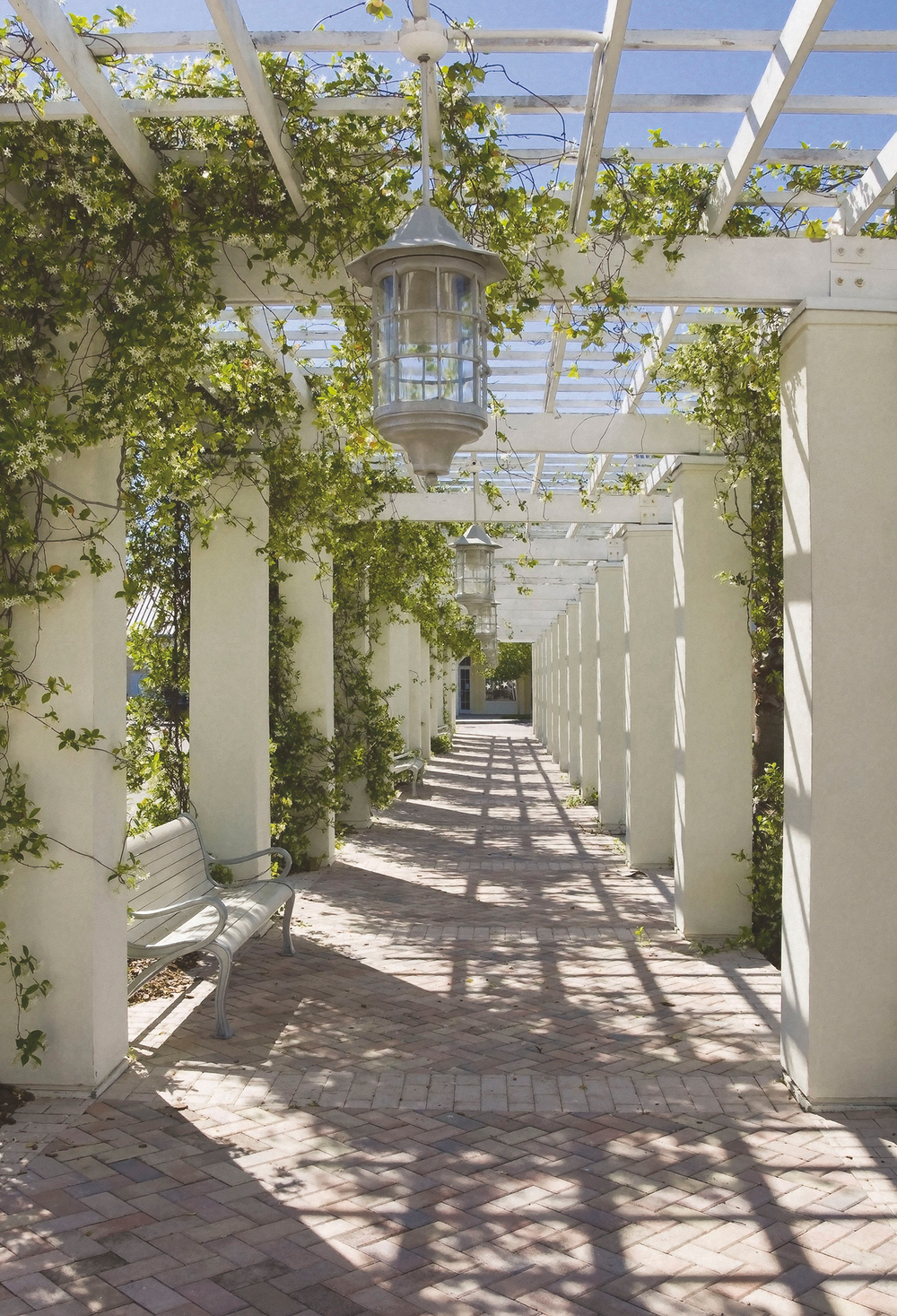 Коллекция Парки и сады