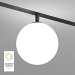 DK8051-BK Рассеивающий светильник SMART MOON 5W DIM 3000K-6000K, ?130мм, черный, акрил