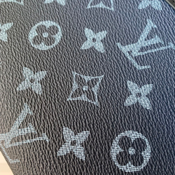 Louis Vuitton Alpha Wearable Wallet