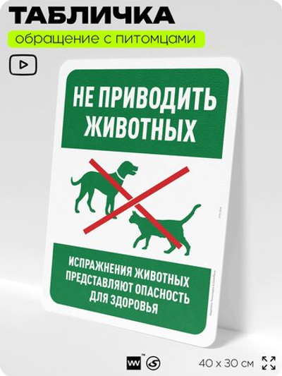 Табличка "Не приводить животных", для двора, дома, подъезда, 40х30 см, Silver Plane x Айдентика Технолоджи