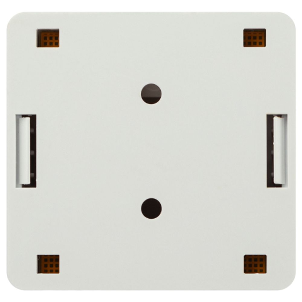 Розетка компьютерная RJ-45 ЭРА RJ02UN категория 5е неэкранированная 2-порта упаковка 30 шт | Разъёмы, переходники, ТВ делители