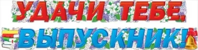 Гигантская гирлянда Удачи тебе, выпускник! 2 части