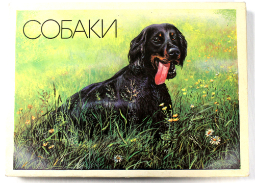 Набор сувенирный. Спички. г. Слободской ф-ка Белка. Собаки. 18 шт.