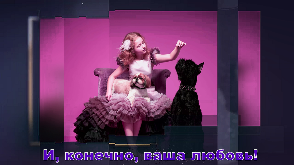 Видеоролик с вашим питомцем