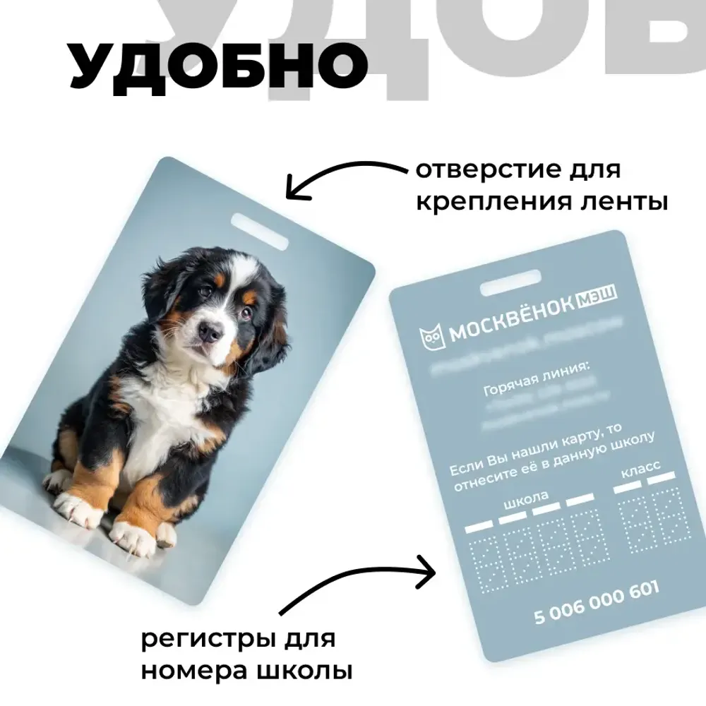 Карта Москвёнок DOGS №4 (проход + питание)