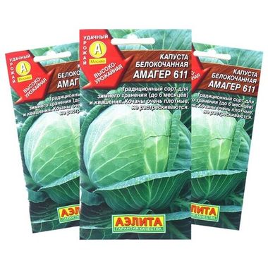 Капуста Амагер