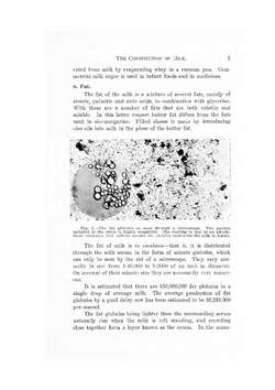 Cheese making | J.W. Decker