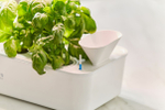 Гидропонная установка  Cactus CS-LEDPOT-10