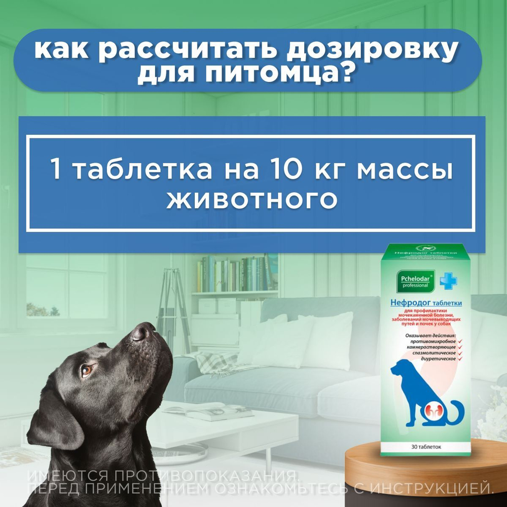 Таблетки для собак для лечения мочекаменной болезни и профилактики почечной недостаточности Нефродог, 30 таблеток с маточным молочком и экстрактами трав