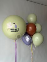 Воздушные шары на определение пола №8684