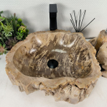 Раковина из окаменелого дерева OD-64564 46*42*16 0176