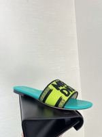 Christian Dior Dway Slide (11 colors)