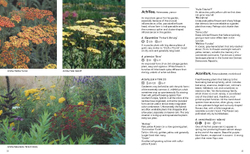 Planting the Natural Garden by Piet Oudolf and Henk Gerritsen