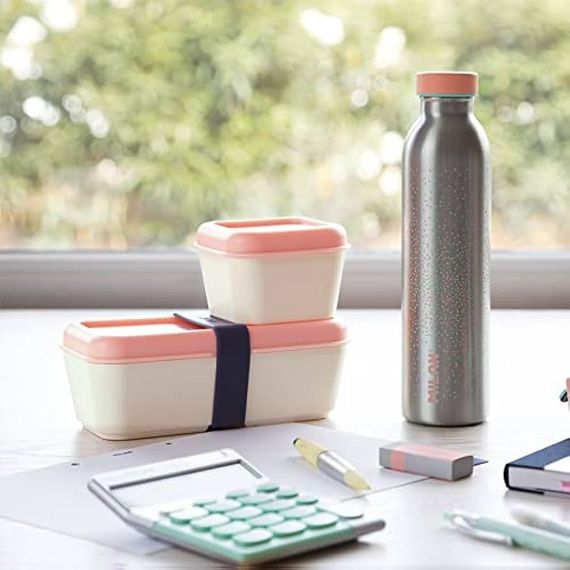 Termos\ термос\ thermos  ISOTHERMAL STAINLESS STEEL BOTTLE 591 ml