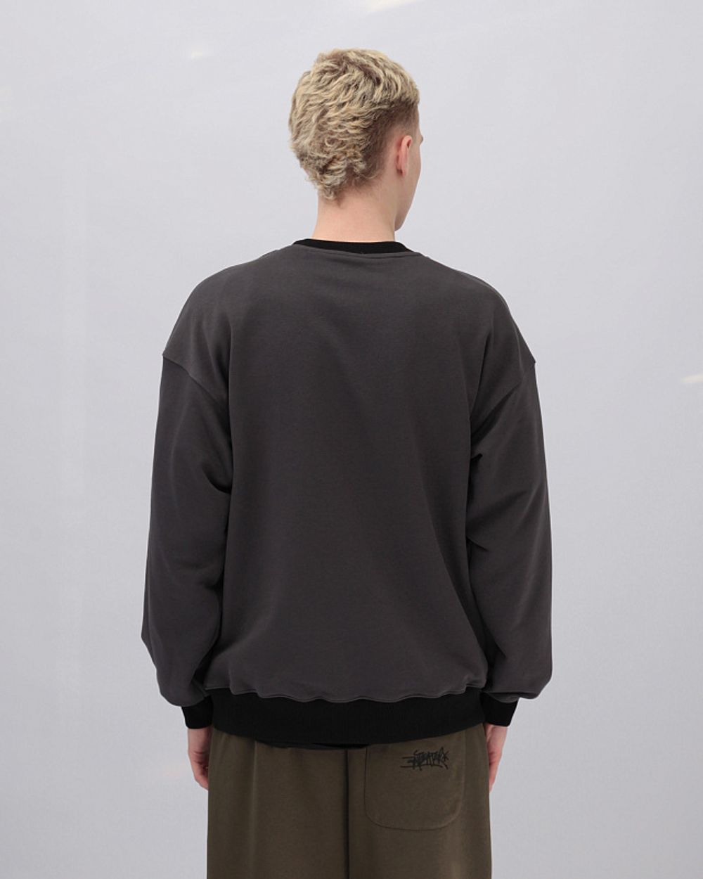 Толстовка Anteater Crewneck Biglogo Grey