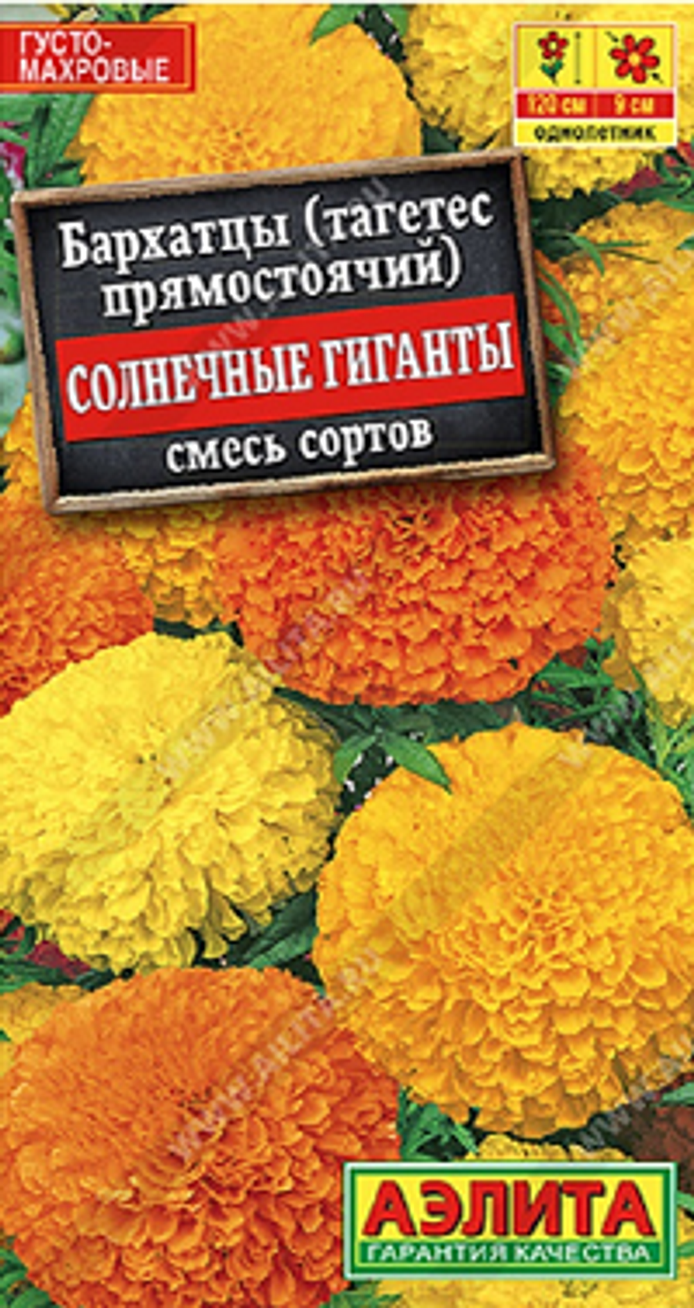 Бархатцы Солнечные гиганты прямостоячие, смесь сортов