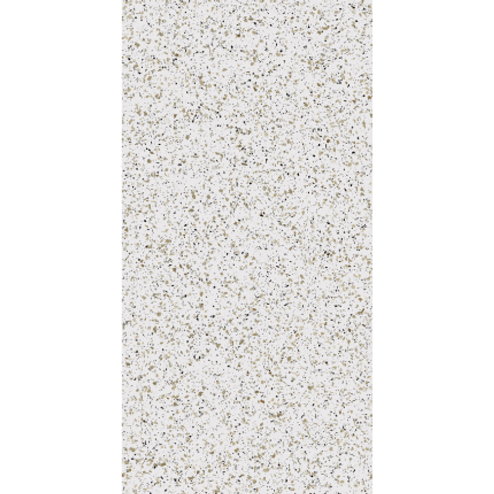 CM00  600*1200 керамогранит матовый