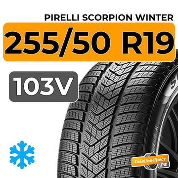 Pirelli Scorpion Winter 255/50 R19 103V
