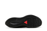 Кроссовки Nike Pegasus 37 Zoom Shield (Женская размерная сетка)