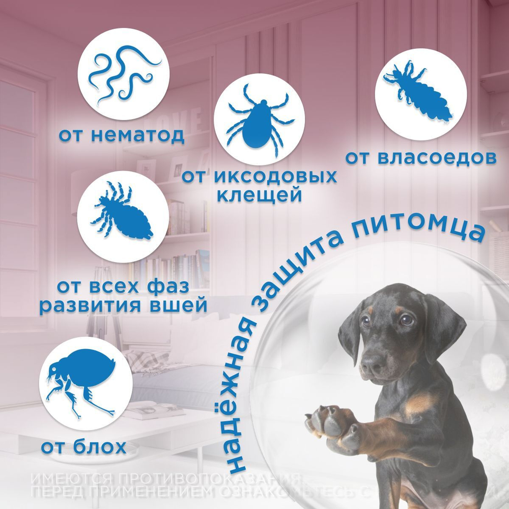 Капли на холку от клещей, блох и гельминтов для щенков и собак средних пород от 5-10 кг Санакард (Pchelodar), 4 пипетки Фипронил/Ивермектин