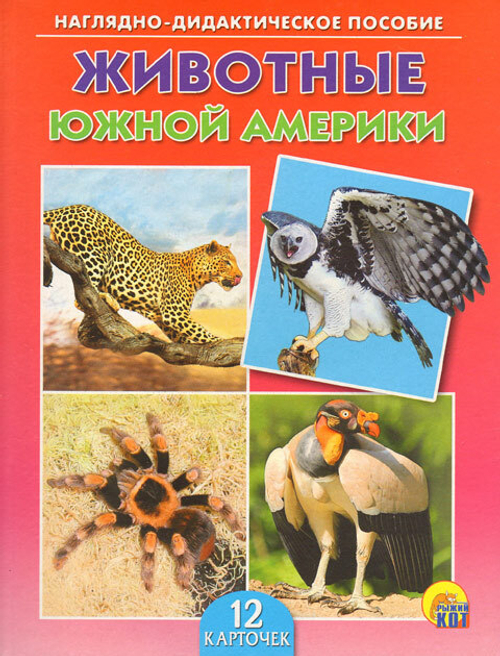 Наглядно-дидактическое пособие. Животные Южной Америки. 12 карточек. 0+