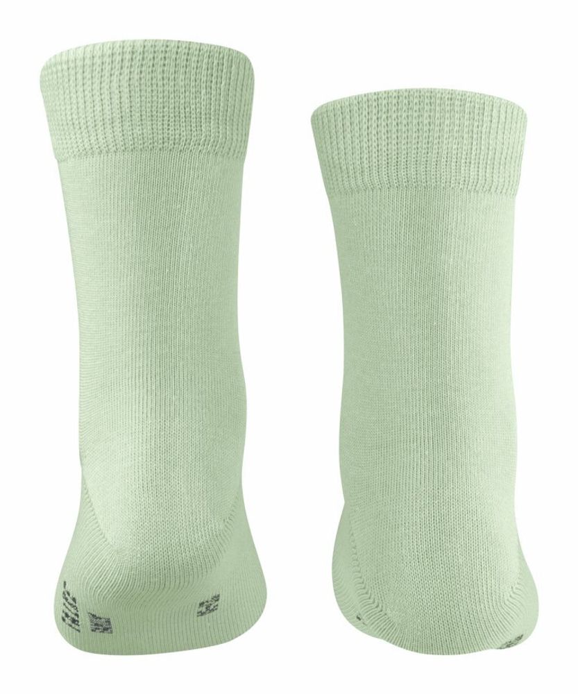 Носки Family FALKE 12998/7313