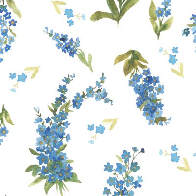 Нежные незабудки на белом фоне