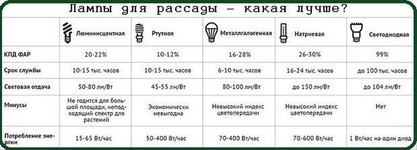 Солнцестояние прошло: пора увеличивать свет для рассады. Выбираем фитолампу и схему досветки