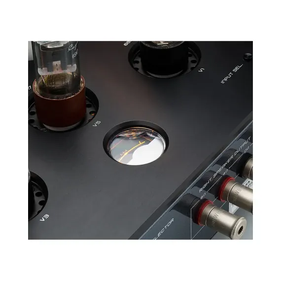 Cayin M-845I