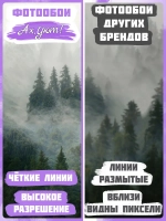 Фотообои хвойный лес в тумане