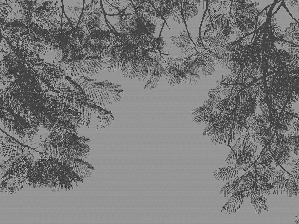 Обои с узором из линий 19501