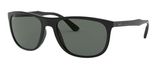 Ray Ban 4291