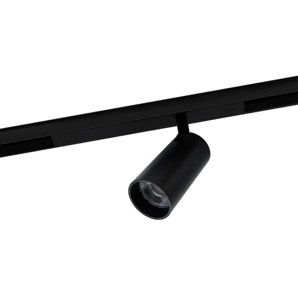 Магнитный трековый светильник Aployt Magnetic track 220 APL.0205.00.20