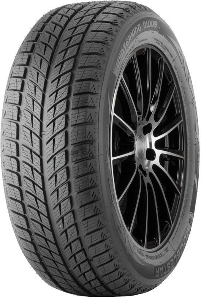 Double Star Winterking DW09 235/55 R20 102H