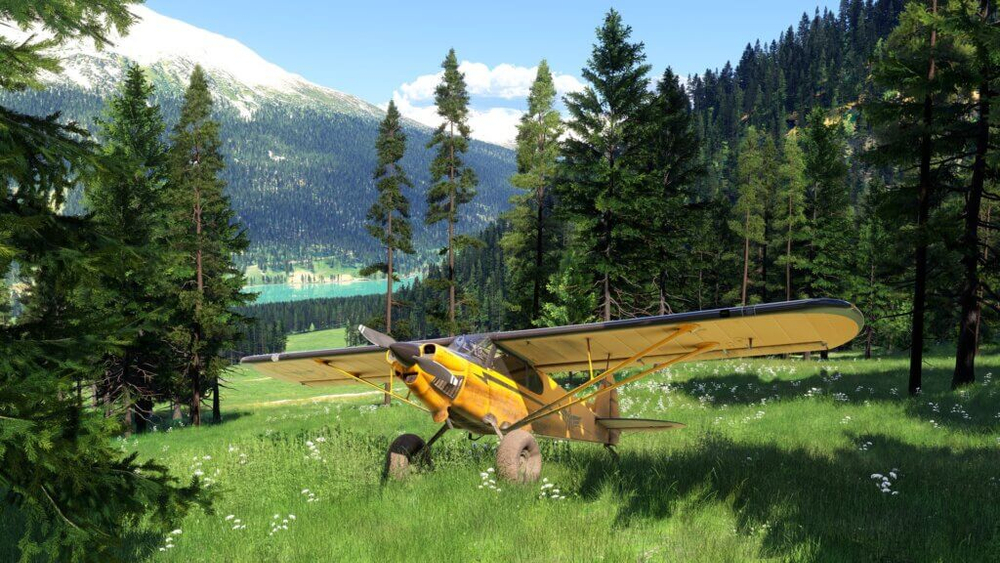 Microsoft Flight Simulator 2024 (для PS5, интерфейс и субтитры на русском языке) [услуга выкупа игры в аккаунт PSN UA]