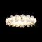 Потолочный светодиодный светильник Loft IT Bride 10175