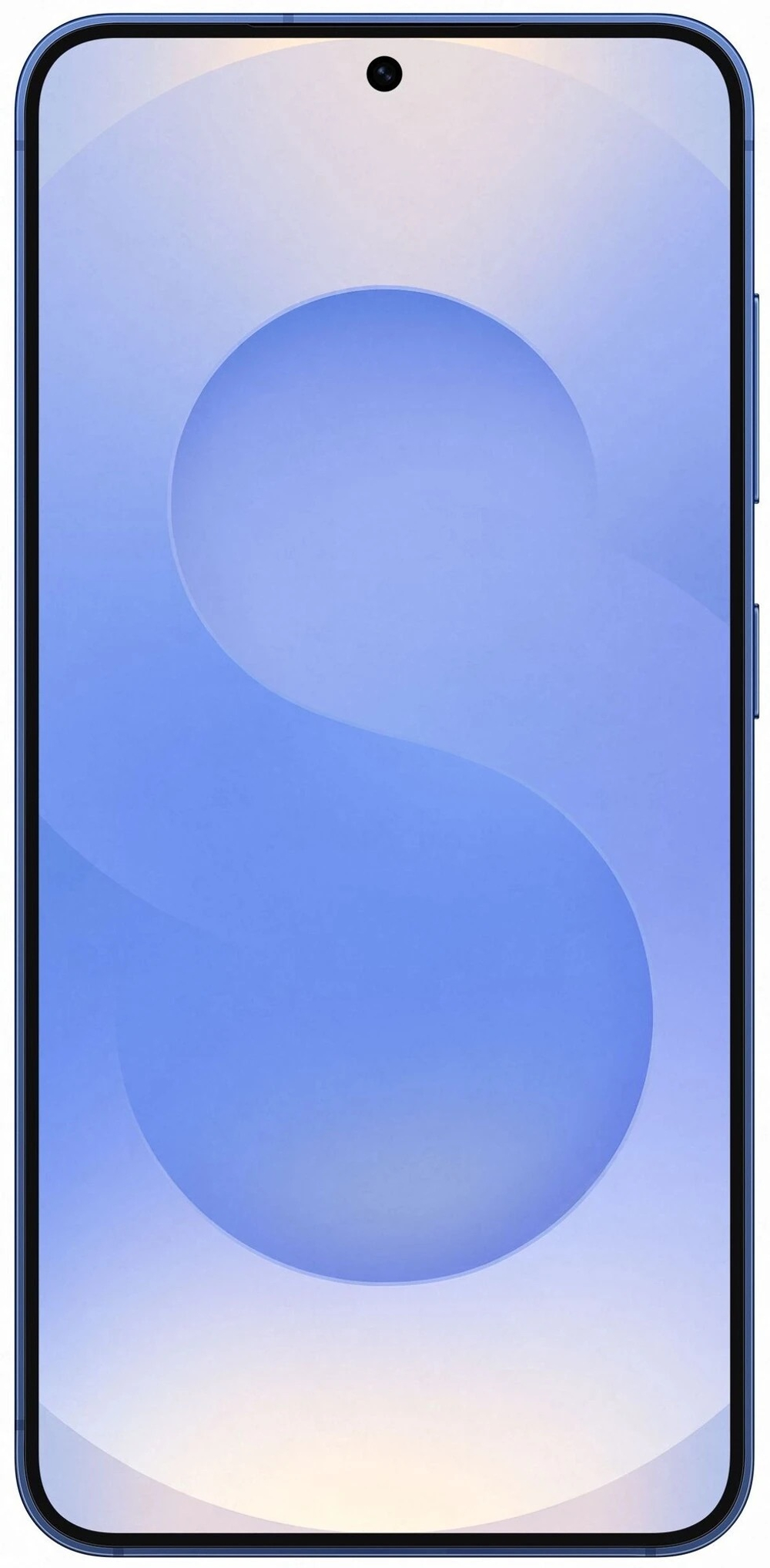 Samsung Galaxy S25 12/256GB