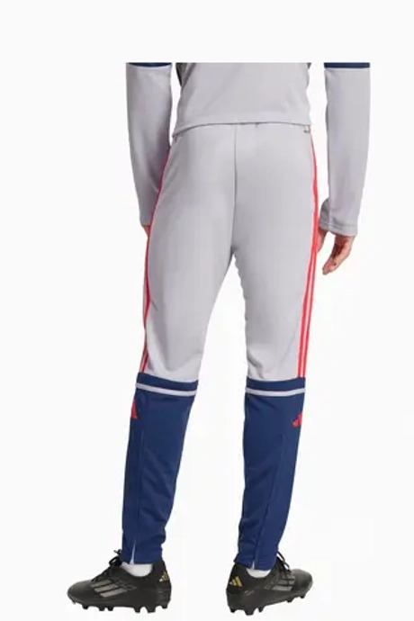 Штаны adidas Squadra 25 Training - серый