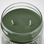 Свеча ароматическая IKEA JAMTSKOGEN (ЯМЦКОГЕН), Сосна и мох, Темно-зеленый, 100 часов