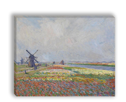 "Поля тюльпанов близ Гааги", Моне, Клод, картина (репродукция)