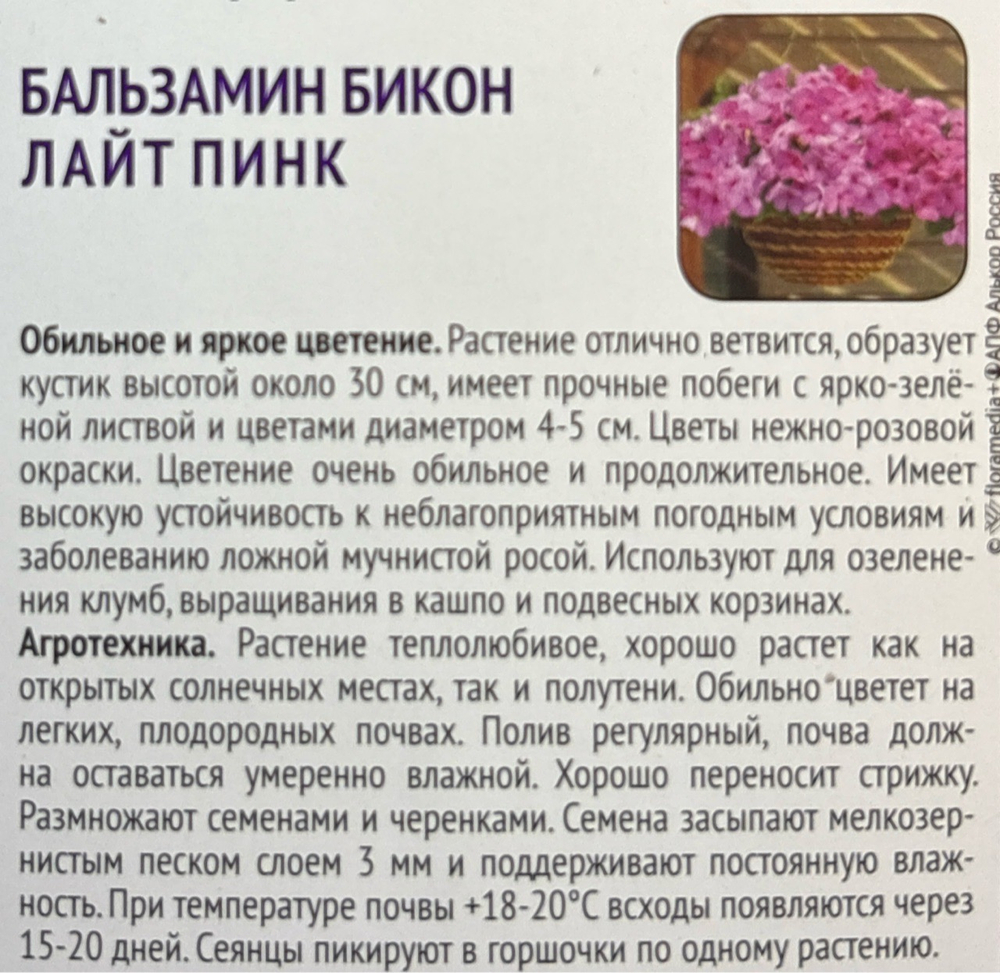 Бальзамин Бикон Лайт Пинк 7 шт СМЦ-778